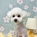 그루멍(groomung) 이미지