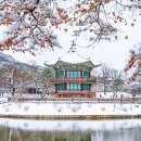 도산카월드 | 12월 서울 가볼만한곳 베스트10 후기