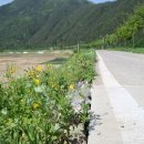 효석문학공원 이미지