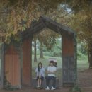 그해 바다 이미지