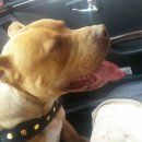 충만농장 이미지