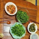 (23-04-30)소부농장 약초 비빔밥을 나누다. 이미지