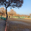 무태파크골프장 이미지