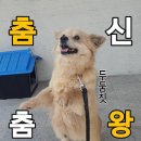 양지양만 Daum카페