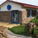 핑크로즈553 이미지