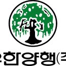 정의양행 마이데일리