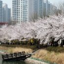 화개119지역대 이미지