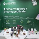 세계로약품 이미지