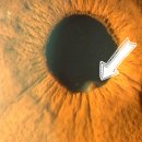 경기성모안과의원 이미지