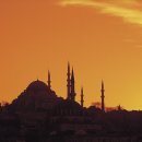 꽃마름샤브샤브 이미지