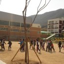 내동초등학교 이미지