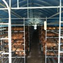 금파농장 이미지