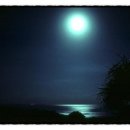 달이 떴다고 전화를 주시다니요 | 김용택 〈달이 떴다고 전화를 주시다니요〉 달이 뜨면 떠오르는 사람