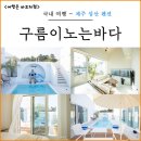 구름이 노는 바다 제주 풀빌라 감성숙소 | 제주 성산 근처 감성 숙소 추천 구름이노는바다 제주도 독채 풀빌라 펜션