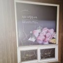 참치마찌 | 포항이동점 참치무한리필 전문점 참치마찌 내돈내산후기