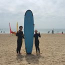 서프베이 이미지