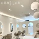 다우리미용실 - 은평구 응암동 | 다우리미용실