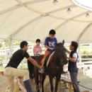 장수승마장 이미지