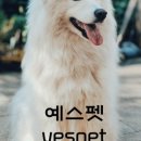 러브독스 네이버블로그