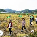 불곡고등학교 이미지