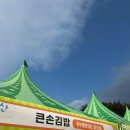 큰손꼬마김밥 | 김천 김밥축제 솔직후기
