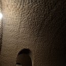 로뎀트리 이미지