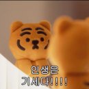2025 주간 일기 #02