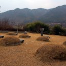 삼일팔 이미지