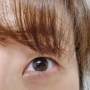 미광상사 | [아큐브 원데이렌즈] 최저가로 손님 많은 글라스원위드렌즈안경원 길동점