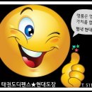 키즈 태권도 현대체육관 이미지