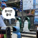 미코정원 | 베트남 호이안 정원 같은 리조트 추천부터 현지인 맛집까지 구석구석 내돈내산 후기