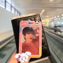 싱가포르 여행 브이로그 (1/5일차) 🇸🇬 이미지