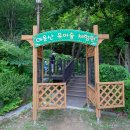 대운산 유아숲체험원 이미지