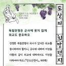 독립전쟁은 군사에 못지 않게 외교도 중요하오 - 도산 안창호 이미지