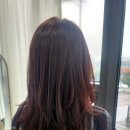 화월 | 제주아라동미용실 화월 염색후기