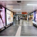 김선욱치과의원 | [7997]대가를 받고 블로그 등에 후기 성격 광고를 올리는 행위를 단속하기 시작했고,