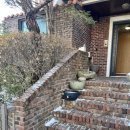 백석행복주택 | 전원주택 화단 이동방해하는 나무 정리 자르기