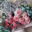 송현 농장 이미지