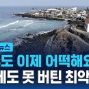 &#34;제주도 이제 어떡해요&#34;...효리네도 못 버틴 최악 상황 / SBS / 모아보는 뉴스 이미지