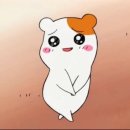 비앤핏 티스토리
