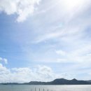 은빛물고기 이미지