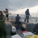 구룡포농업협동조합 이미지