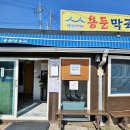 횡성 맛집 강원도 백년가게 용둔막국수