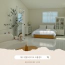 오피스헬퍼 | 대구 셀프 웨딩스냅 촬영하기 좋은 렌탈스튜디오 프롬앤드 C룸 방문 후기