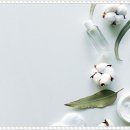 여의도의원 이미지