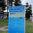 뉴비치세탁소 이미지