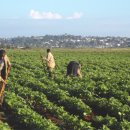 상환농장 이미지