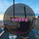 속초 오션뷰 애견동반 카페 편안하고 힐링가능한 카페 청호동
