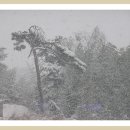 시골풍경 이미지