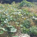 맷돌농장 이미지